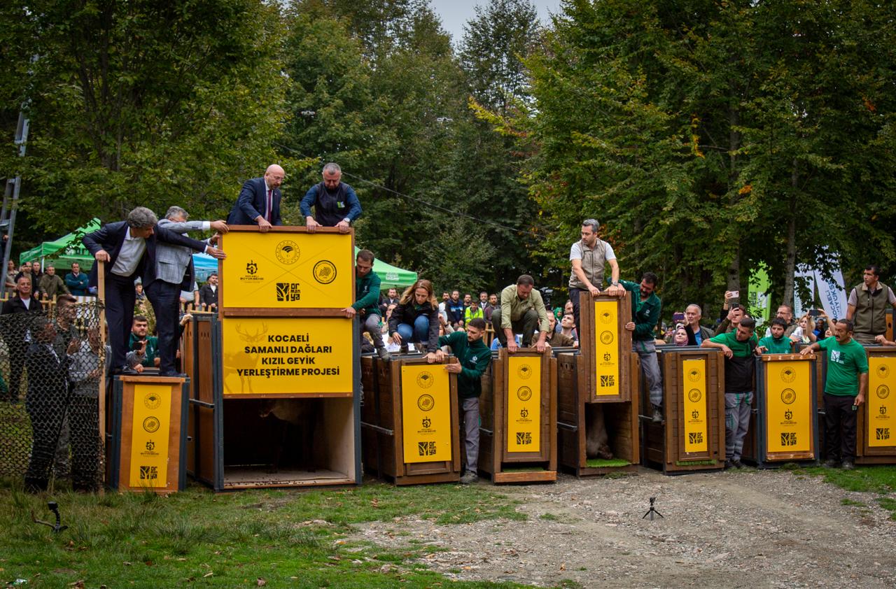 WhatsApp Image 2024-09-19 at 18.34.31.jpeg