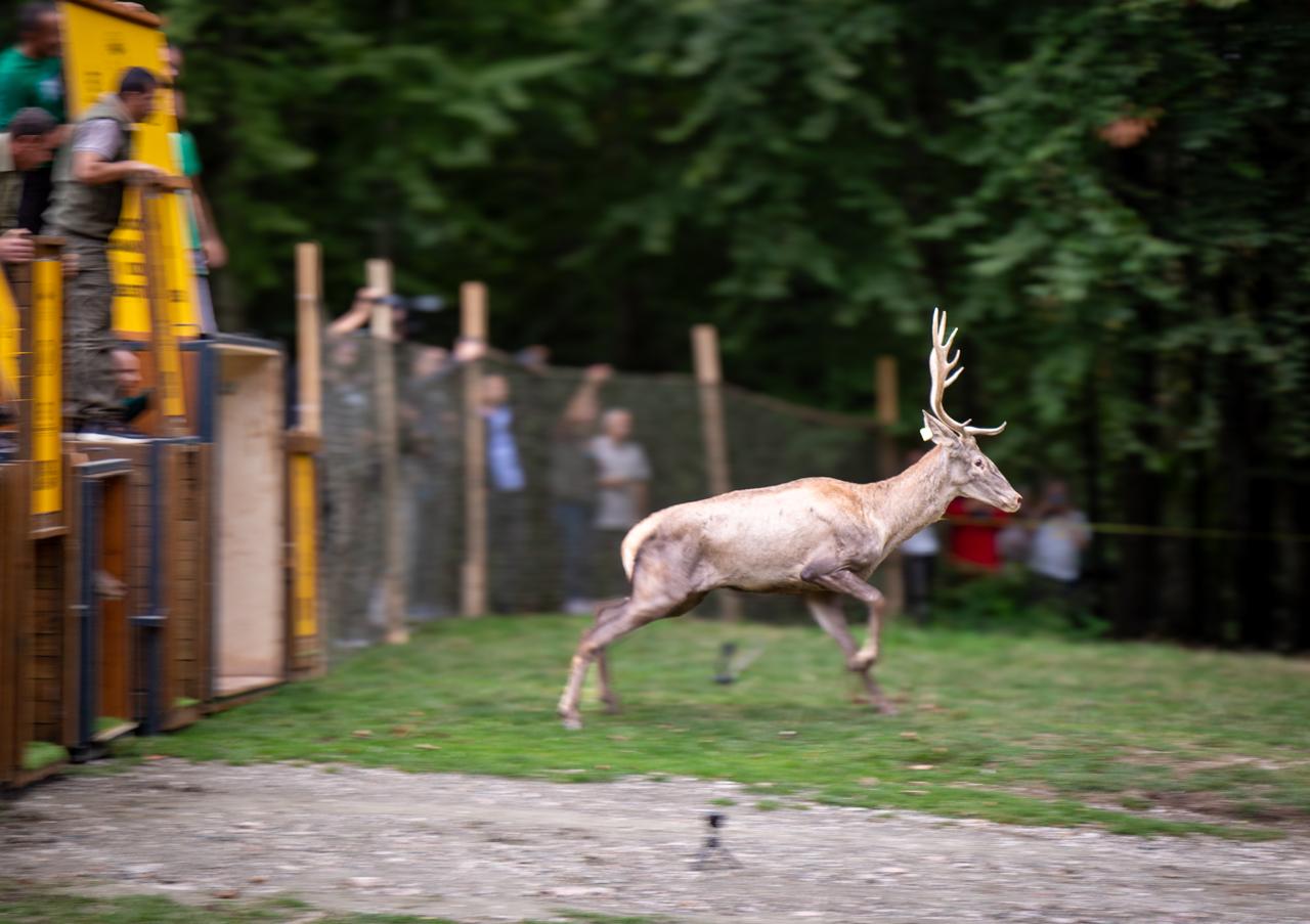 WhatsApp Image 2024-09-19 at 18.34.30.jpeg