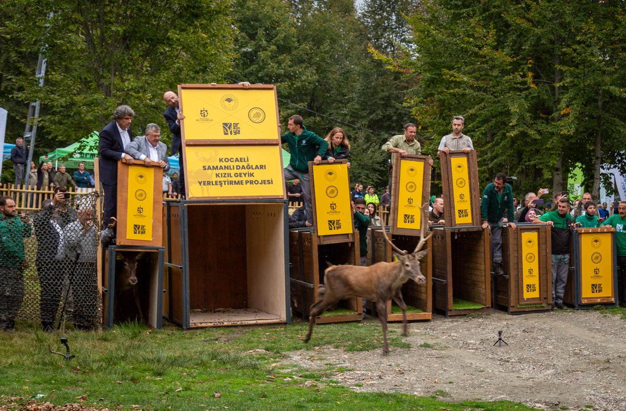 WhatsApp Image 2024-09-19 at 18.34.30 (1).jpeg